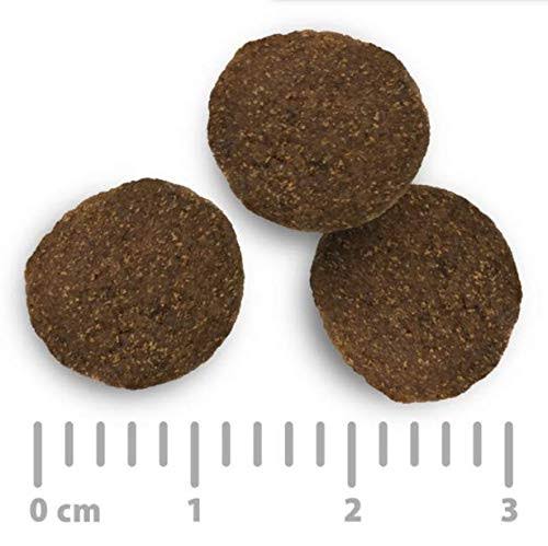 Purizon Chicken with Fish Adult - New Recipe