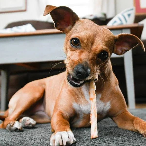 Earth Animal No Hide Venison Dog Chews - Medium - 2 Pack