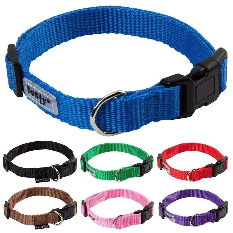 Bunty Pet Products Dog Puppy Collar with Buckle & Clip For Lead, Adjustable Soft ...
