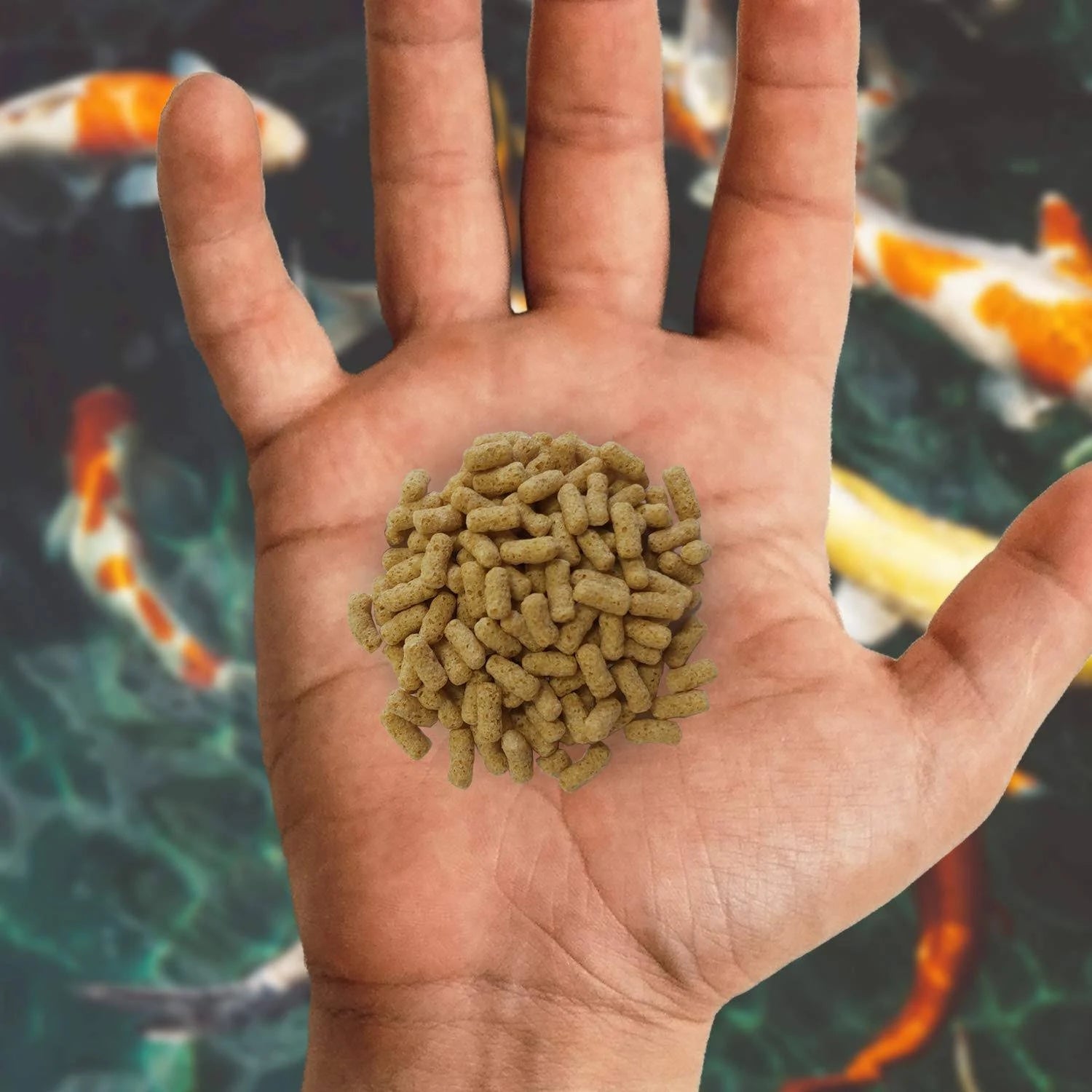 Nishikoi Pond Sticks Complete Food For Koi and Pond Fish - 1575g