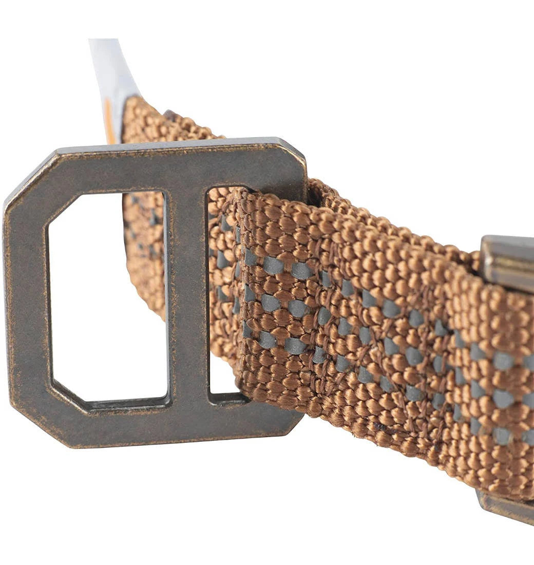 Carhartt Lighted Dog Collar - Brown - M