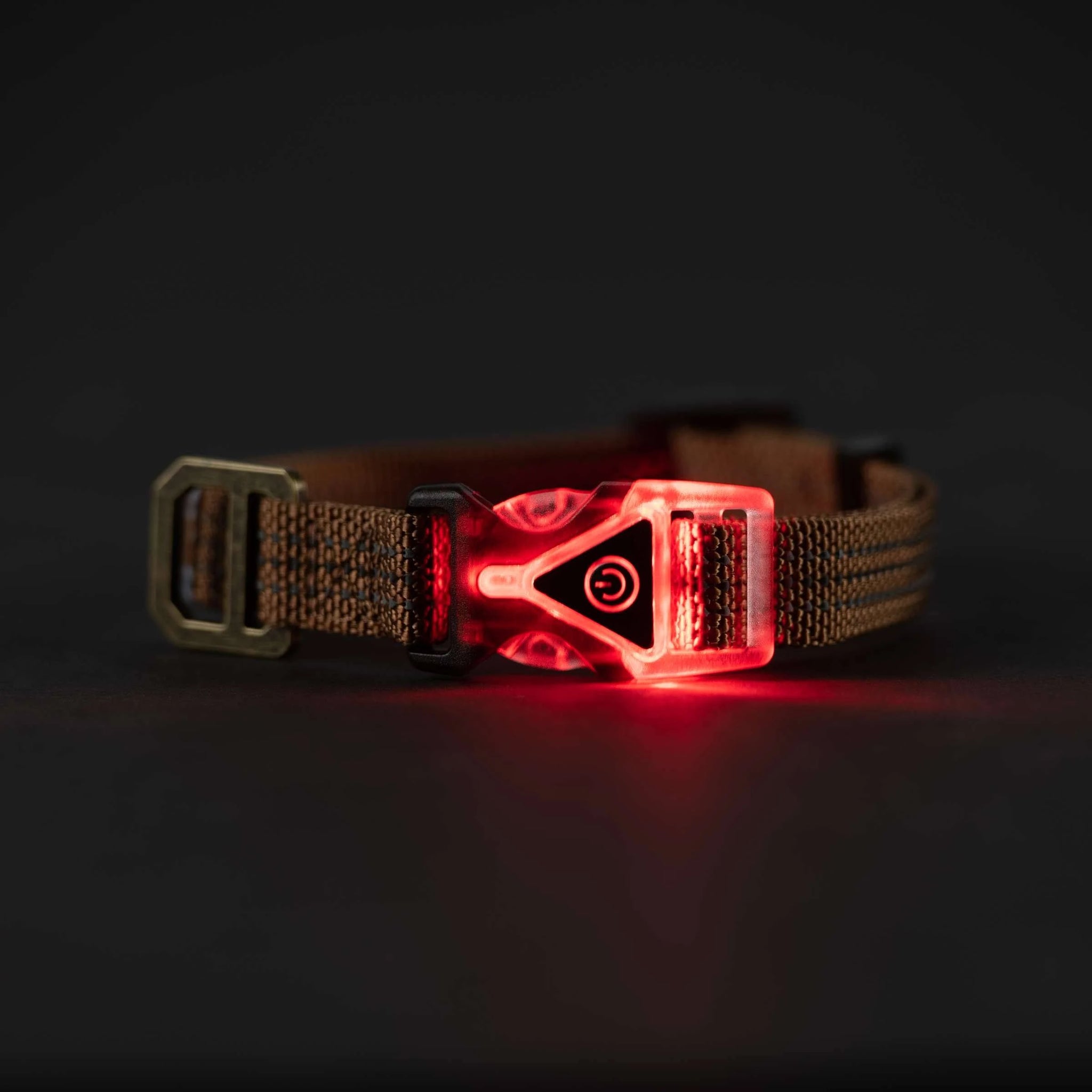 Carhartt Lighted Dog Collar - Brown - M