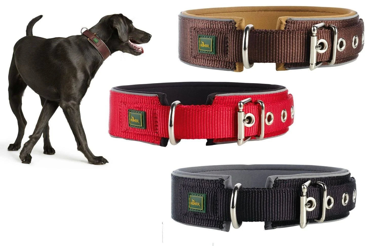 Dog Collar Hunter Neoprene Reflect Black (44-51 cm)