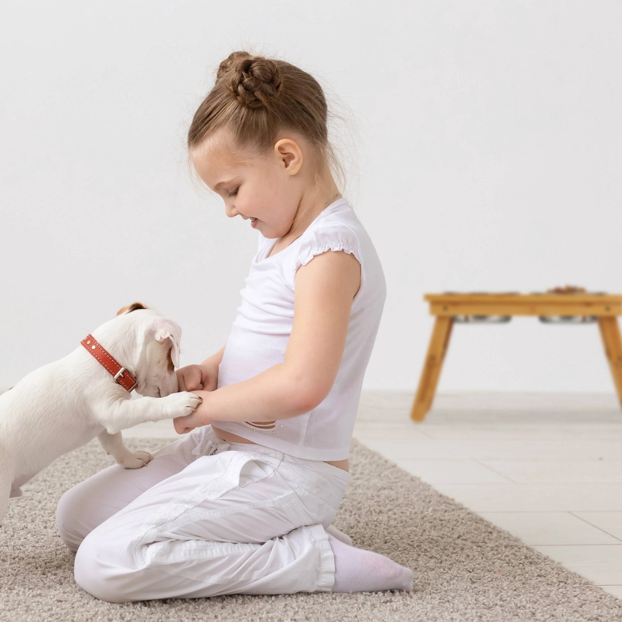 Relaxdays Folding Feeding Station in Diff. Designs