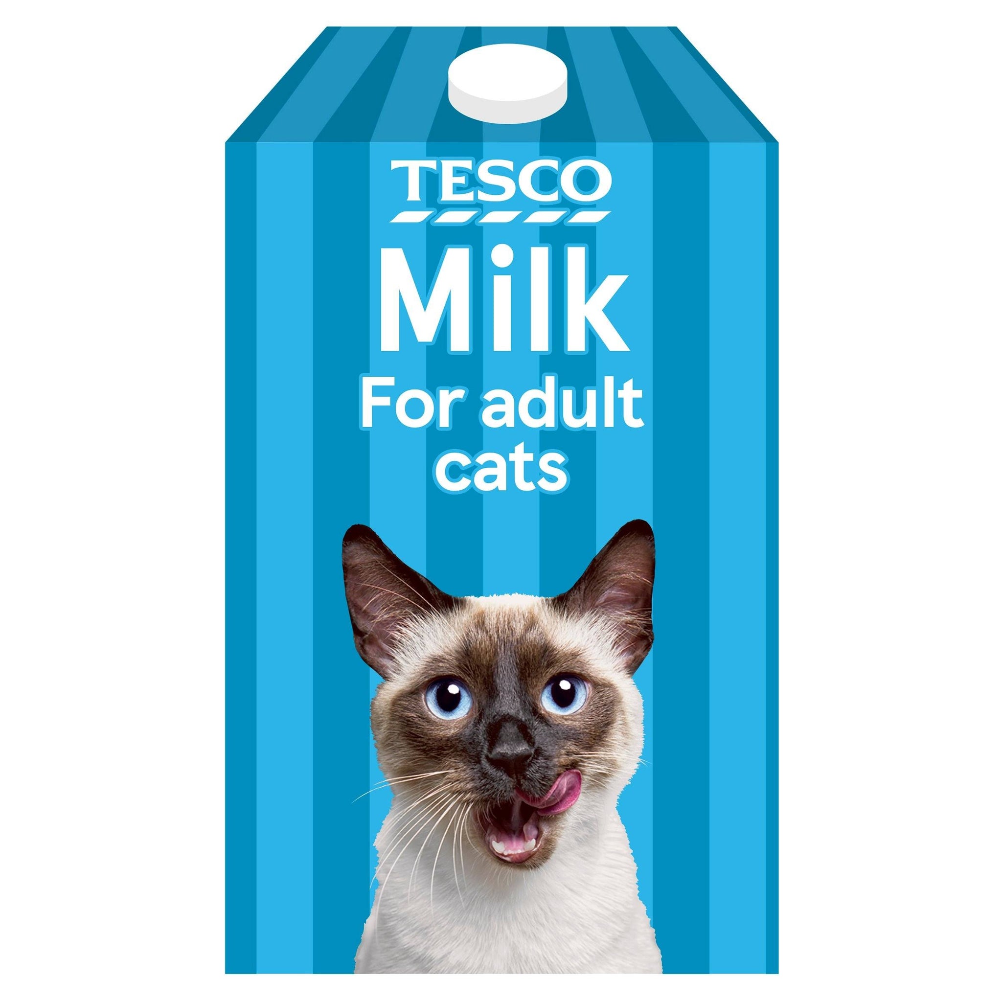 Tesco Milk For Milk For Cats 200ml