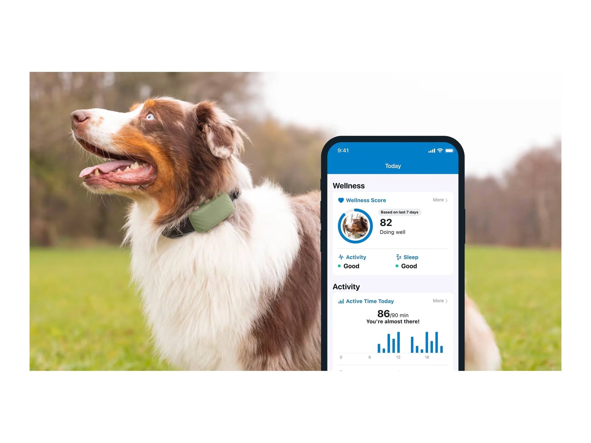 Tractive GPS Dog XL, Green