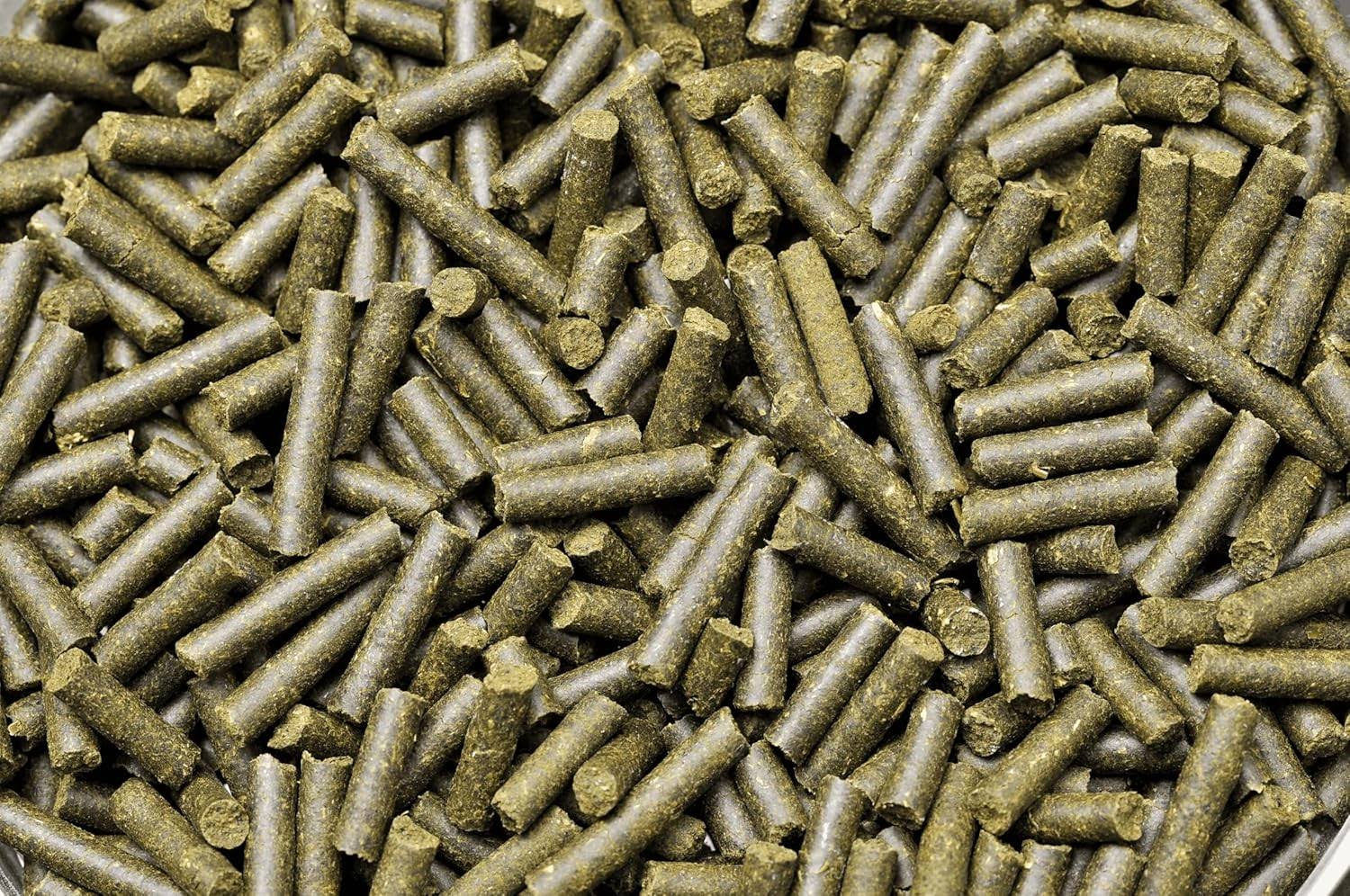 DennerleShrimp King Complete 1.59 Oz (45g) - Premium Shrimp Food For Balanced ...