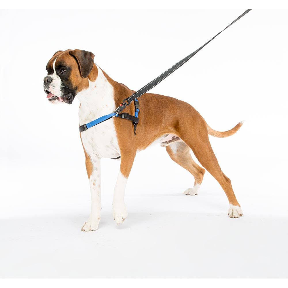 Ferplast Coach P Blue Harness L/XL