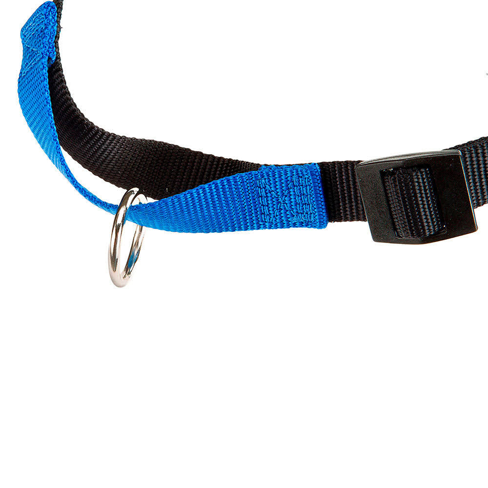 Ferplast Coach P Blue Harness L/XL