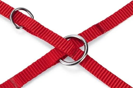 Karlie ASP Führleine - Rot 10 mm, 250 cm