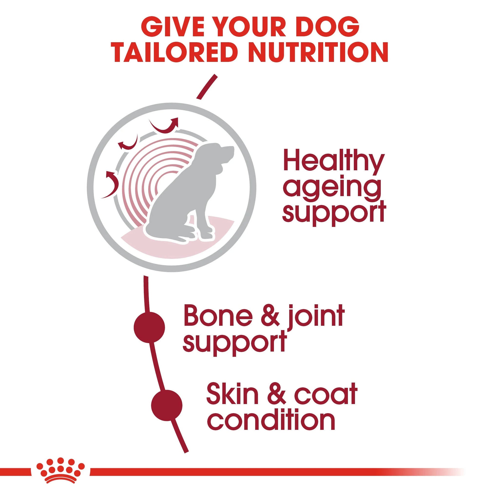 Royal Canin Dry Dog Food Medium Ageing 10+ 15kg