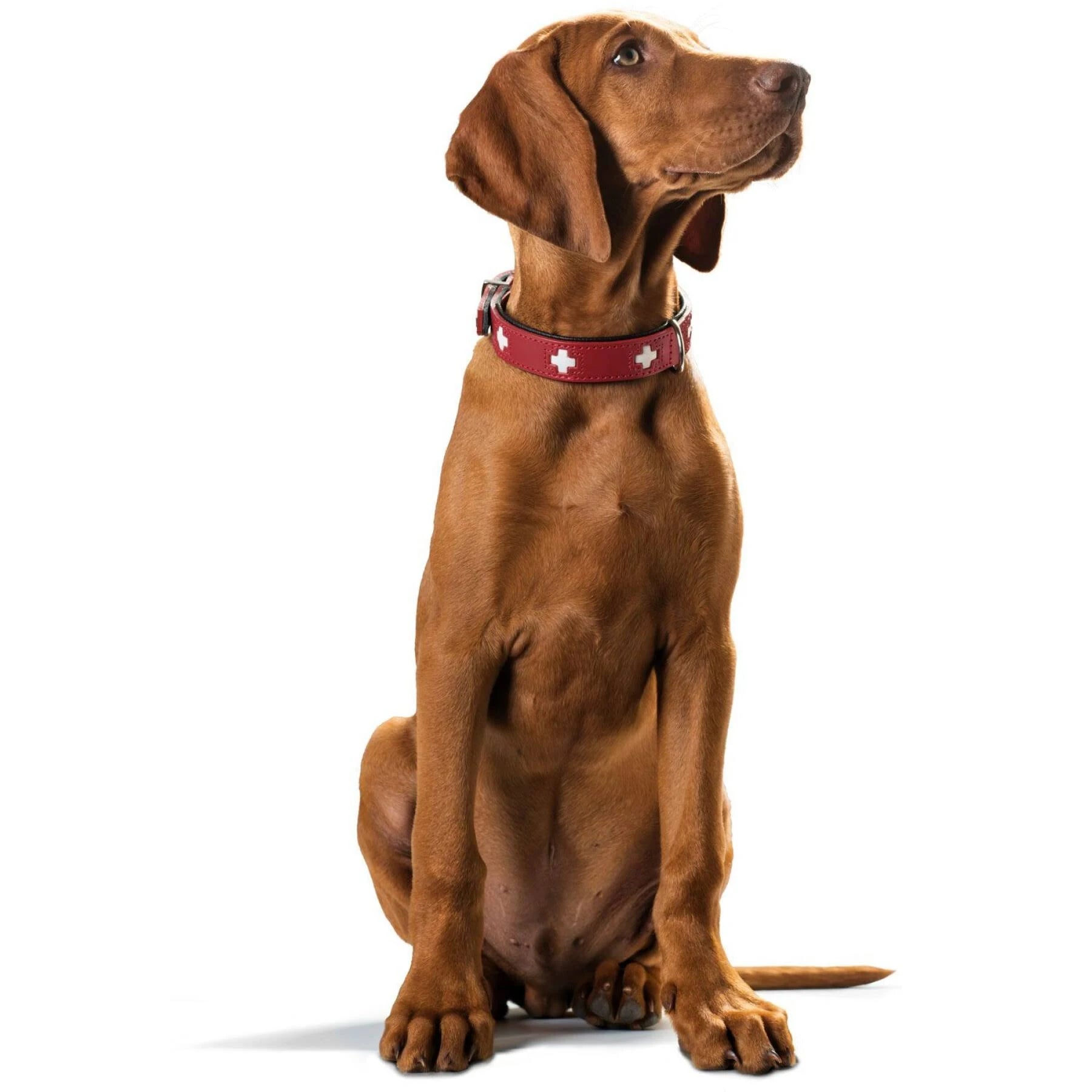 Hunter Collar Swiss 75 Organic Leather,61,0-68,5 cm, Red/Black