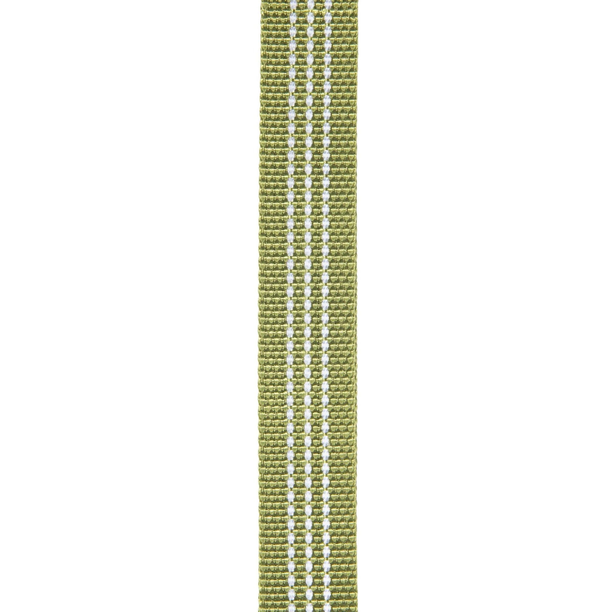 Carhartt Nylon Duck Dog Collar, Light Moss, Medium