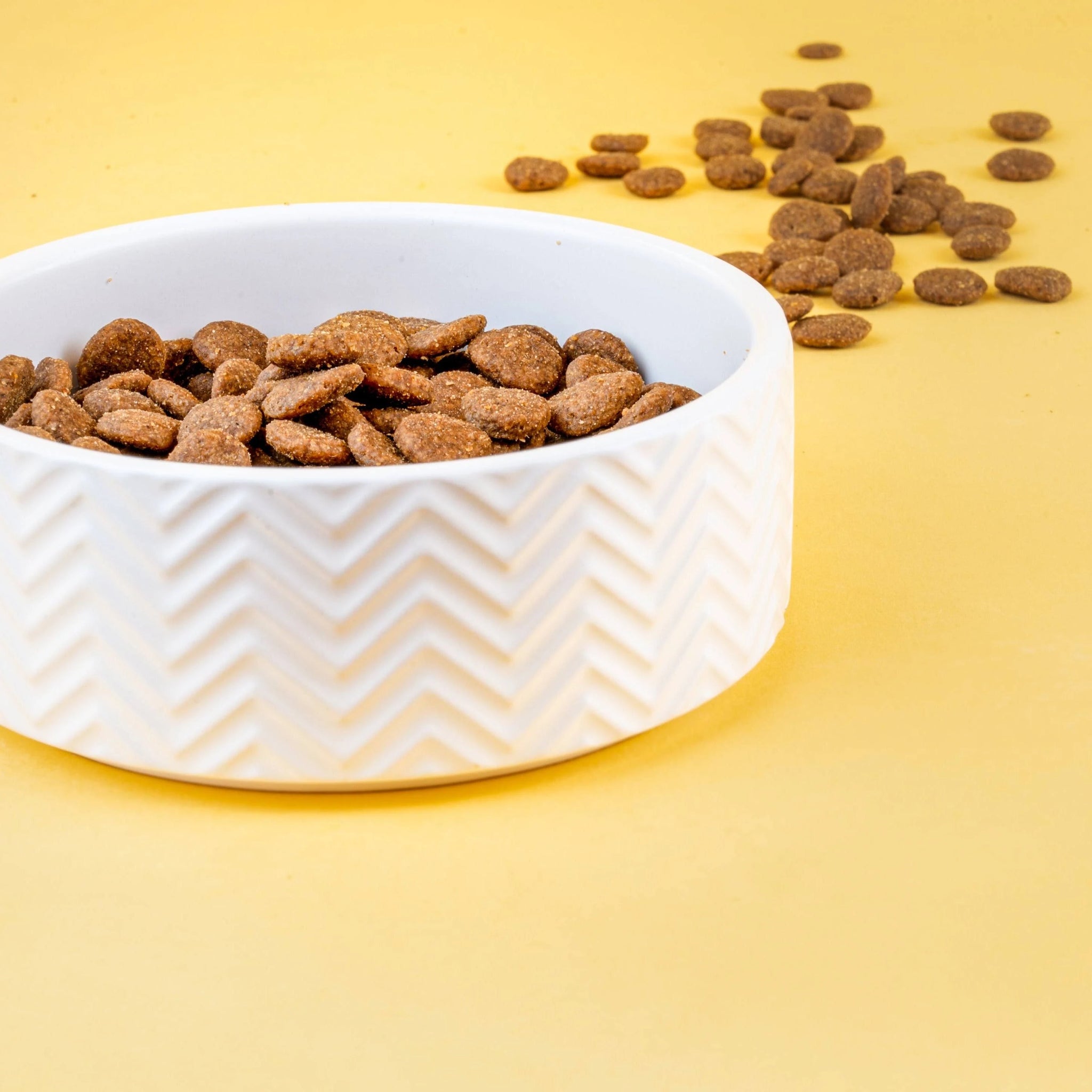 Natures Variety Selected Adult Mini Norwegian Salmon