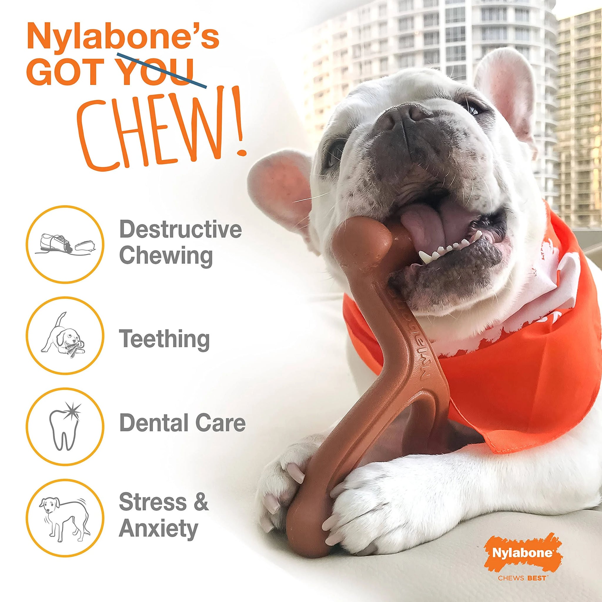 Nylabone Power Dura Chew Twin Pack Chicken / Bacon Giant