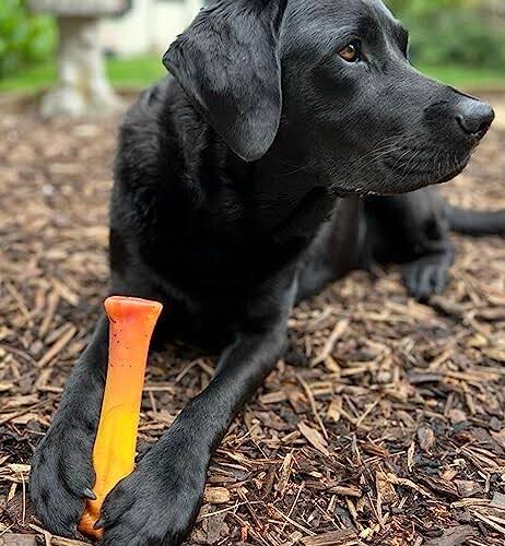 Nylabone Flavour Frenzy Power Chew Dog Toy Bacon & Cheese X-Large (1 Count)