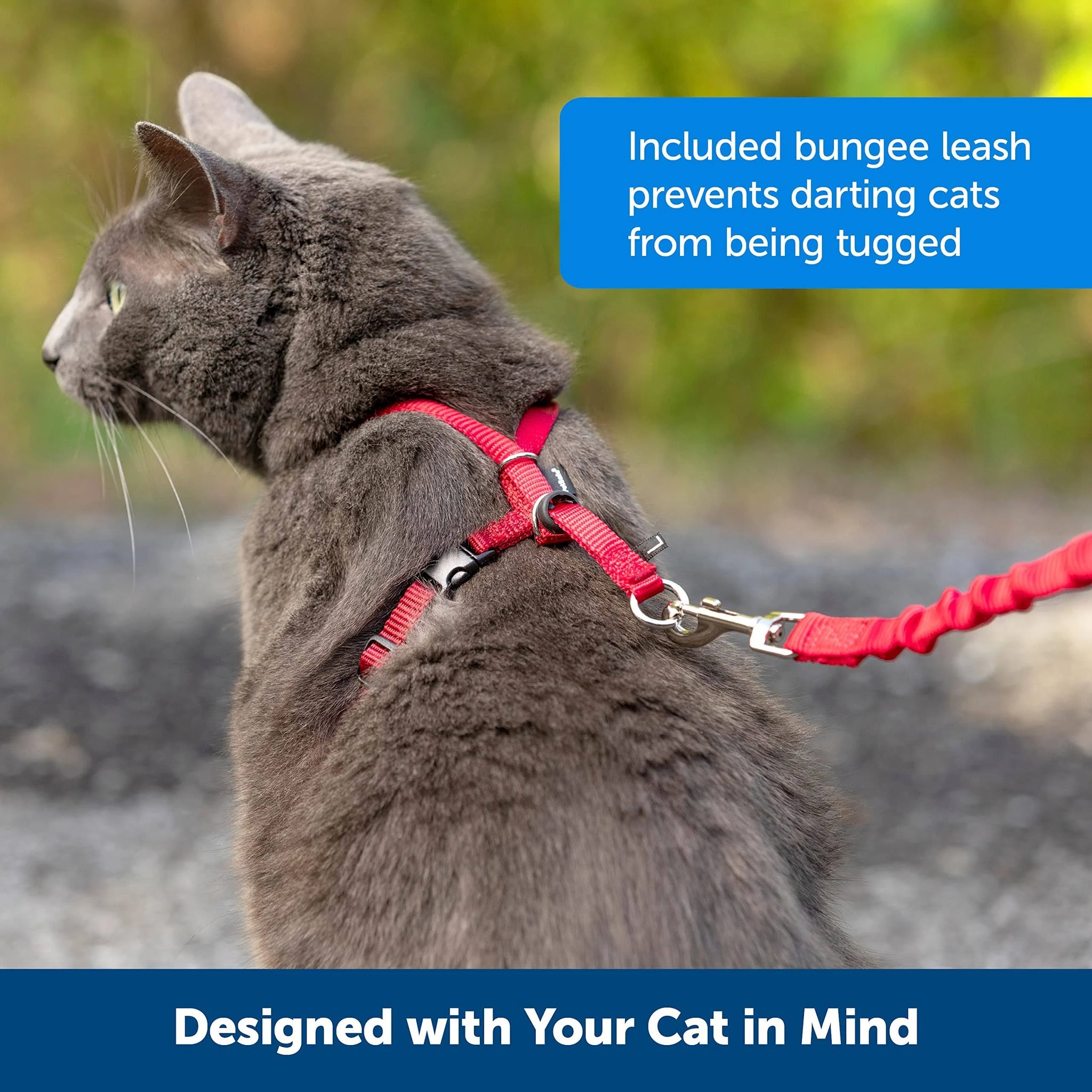 Easy Walk Cat Harness Blue / Medium