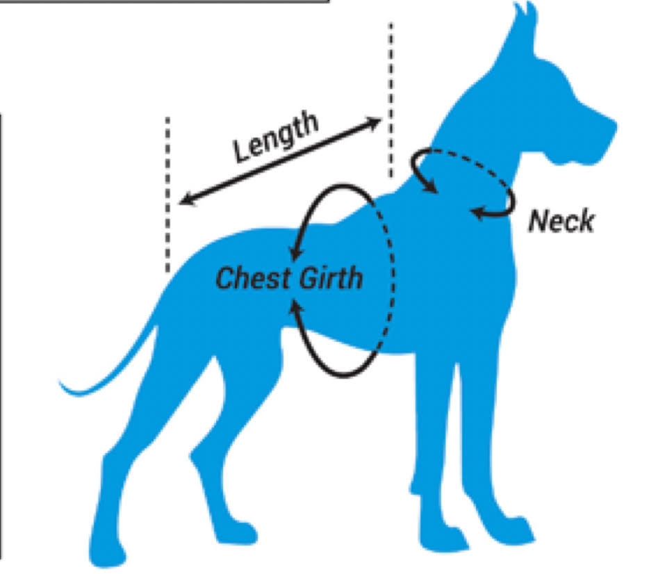 Pets First NHL Philadelphia Flyers Jersey For Dogs & Cats, X-Small. - Let Your ...