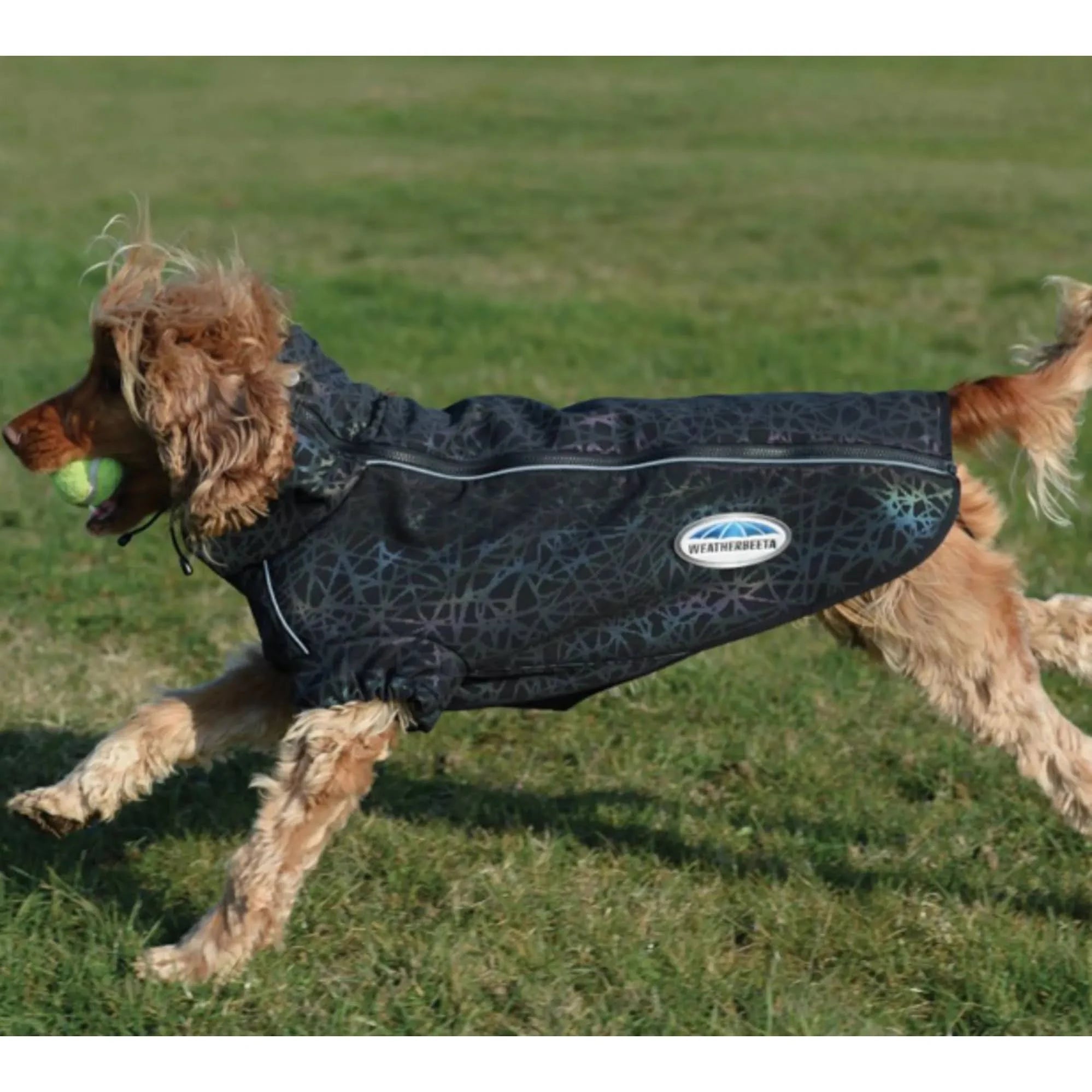 Weatherbeeta Comfitec Reflective Print Active Dog Coat - Black