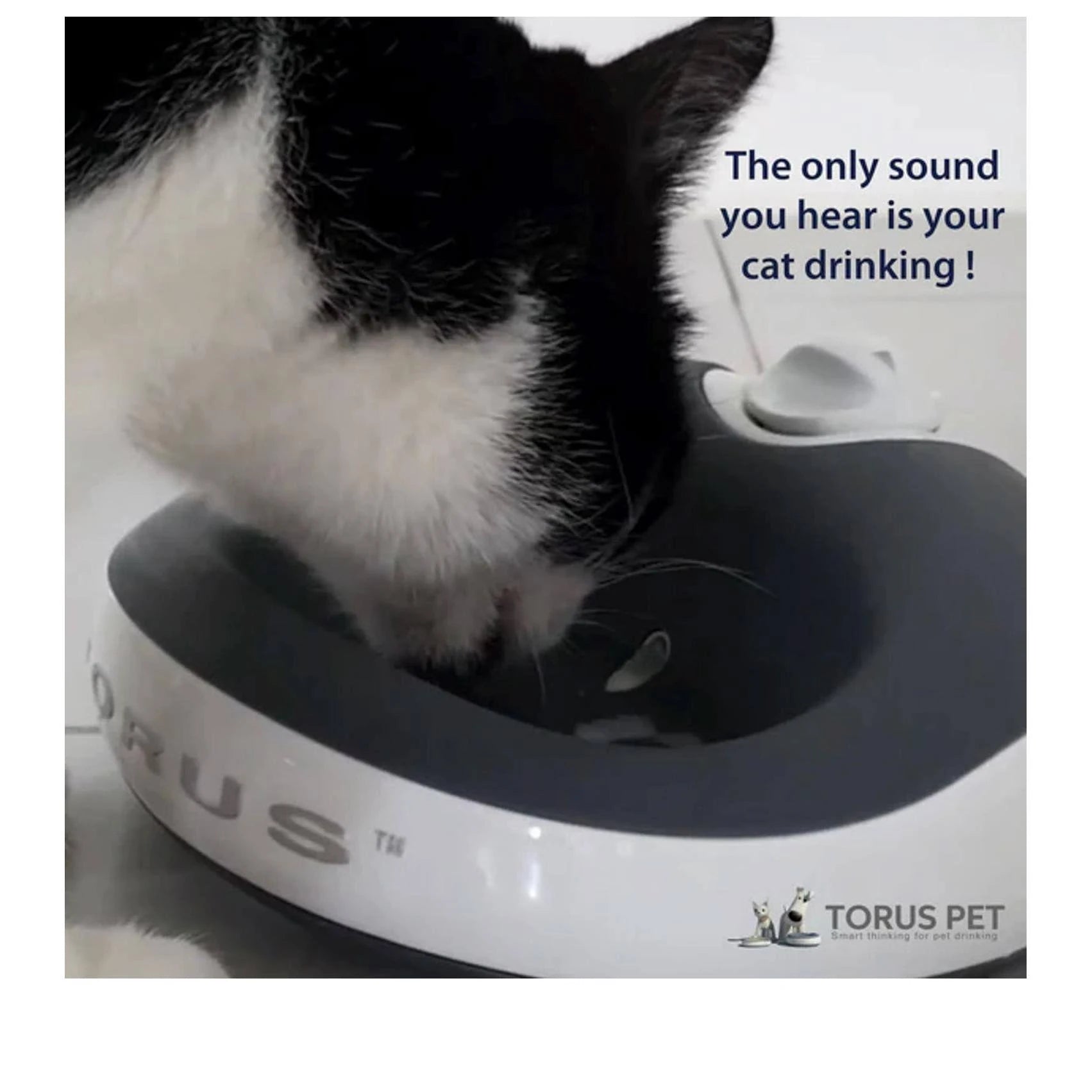 Torus Pet Water Bowl 1 Liter Fresh Filtered Water Healthy Hygienic Pet Bowl For ...