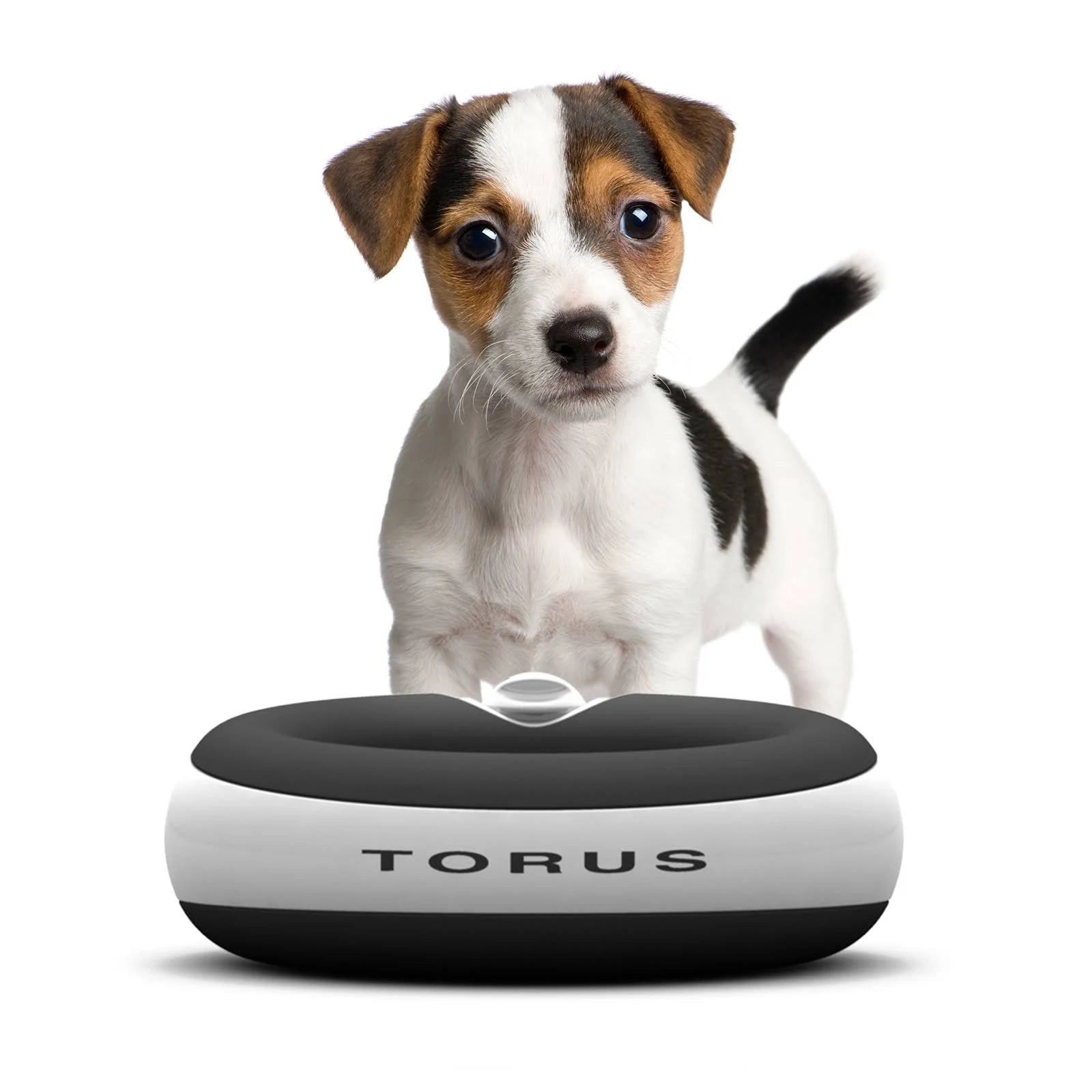 Torus Pet Water Bowl 1 Liter Fresh Filtered Water Healthy Hygienic Pet Bowl For ...
