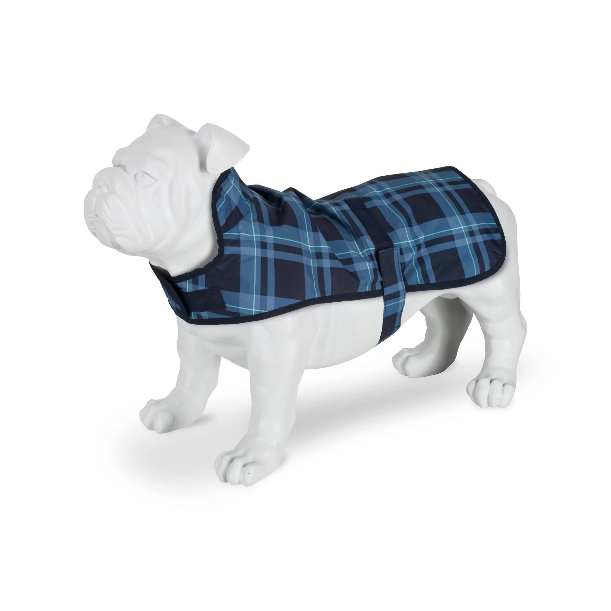 Regatta Arlo Waterproof Dog Coat