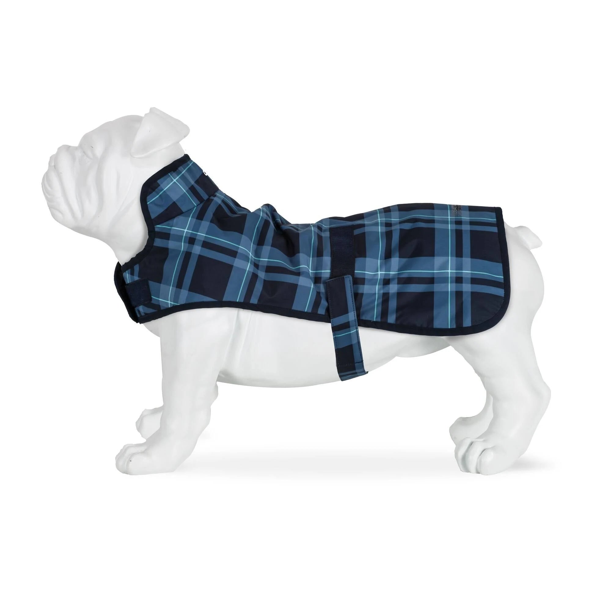 Regatta Arlo Waterproof Dog Coat