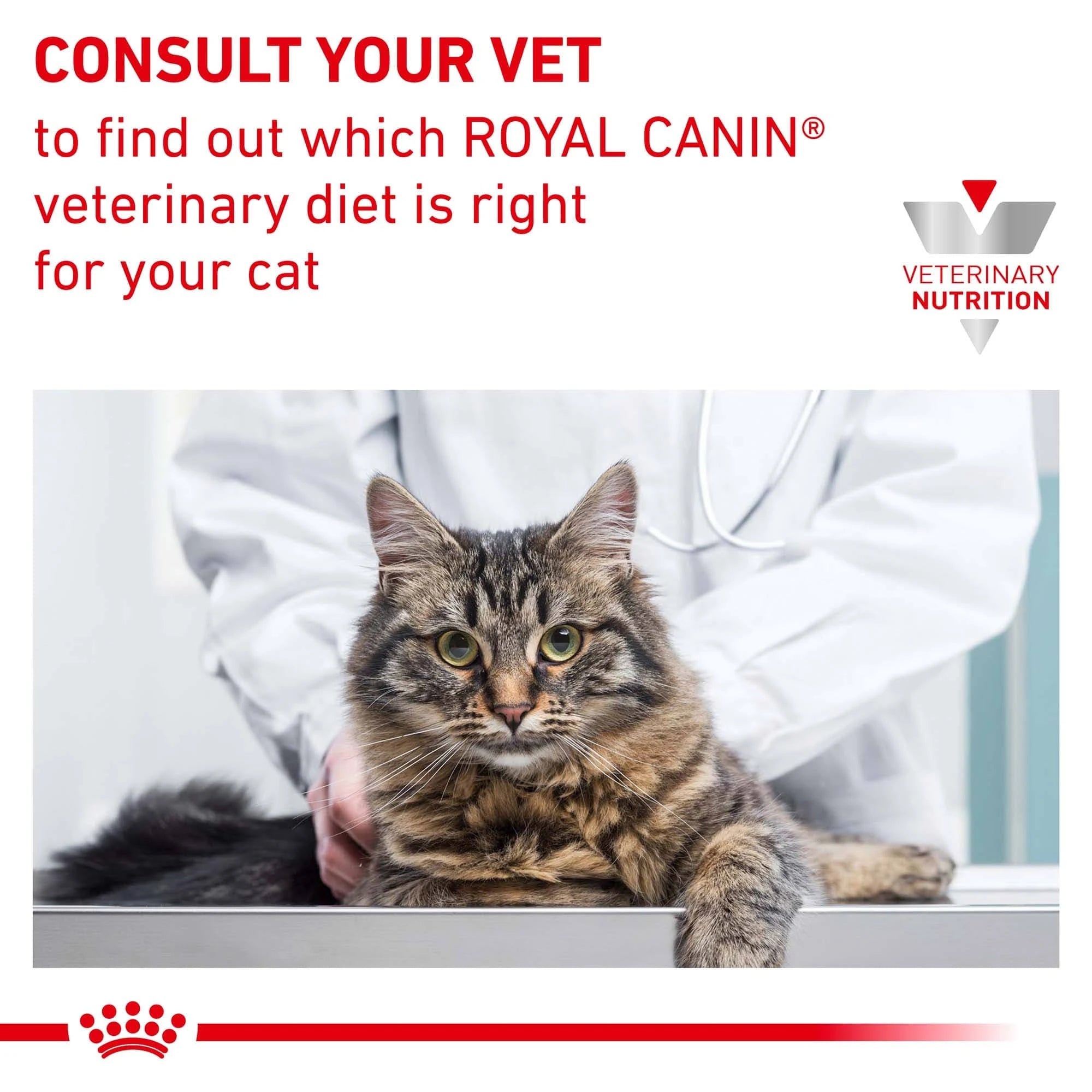 Royal Canin Veterinary Cat - Anallergenic - 2kg
