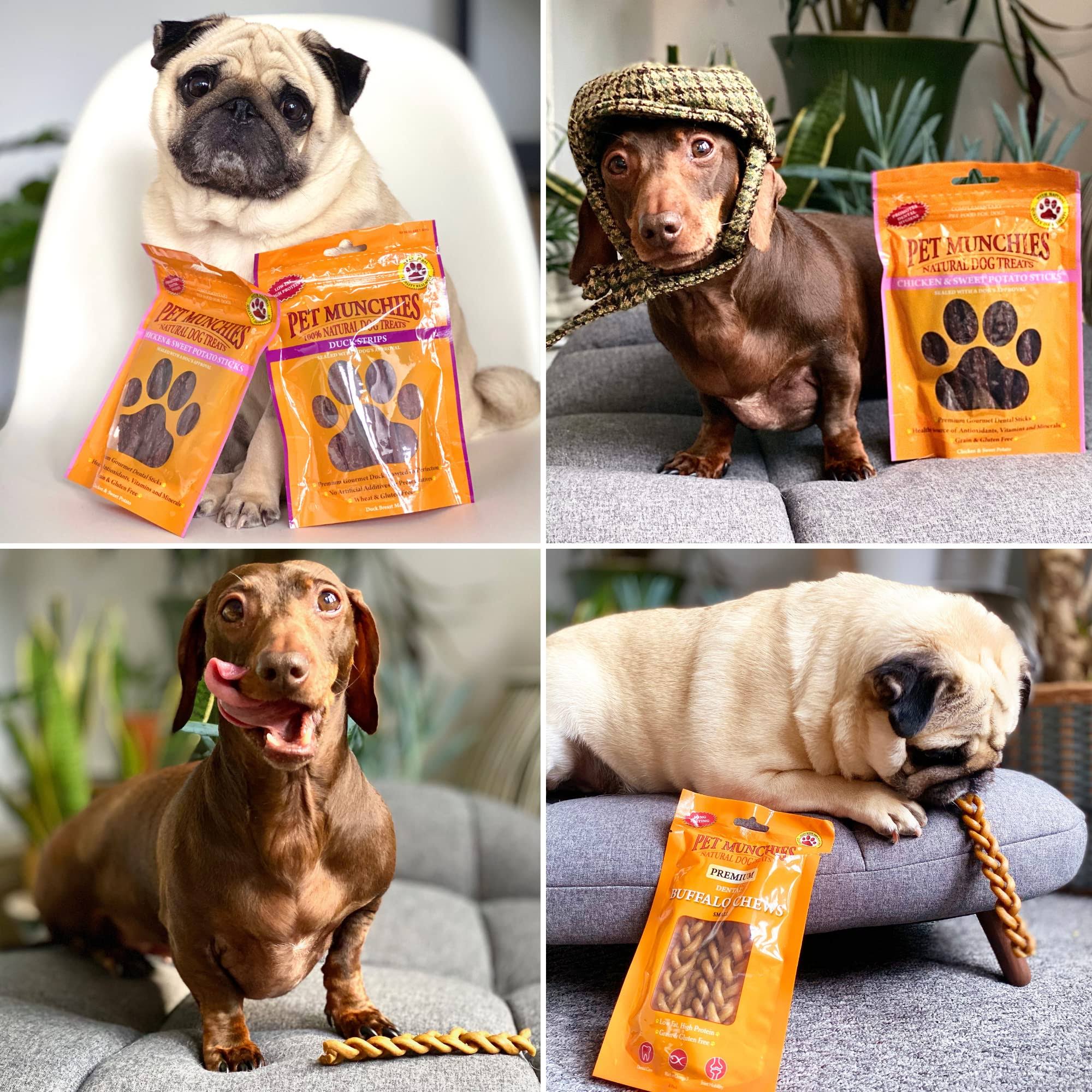 Pet Munchies Chicken with Carrot Sticks Dog Treats - 80 G
