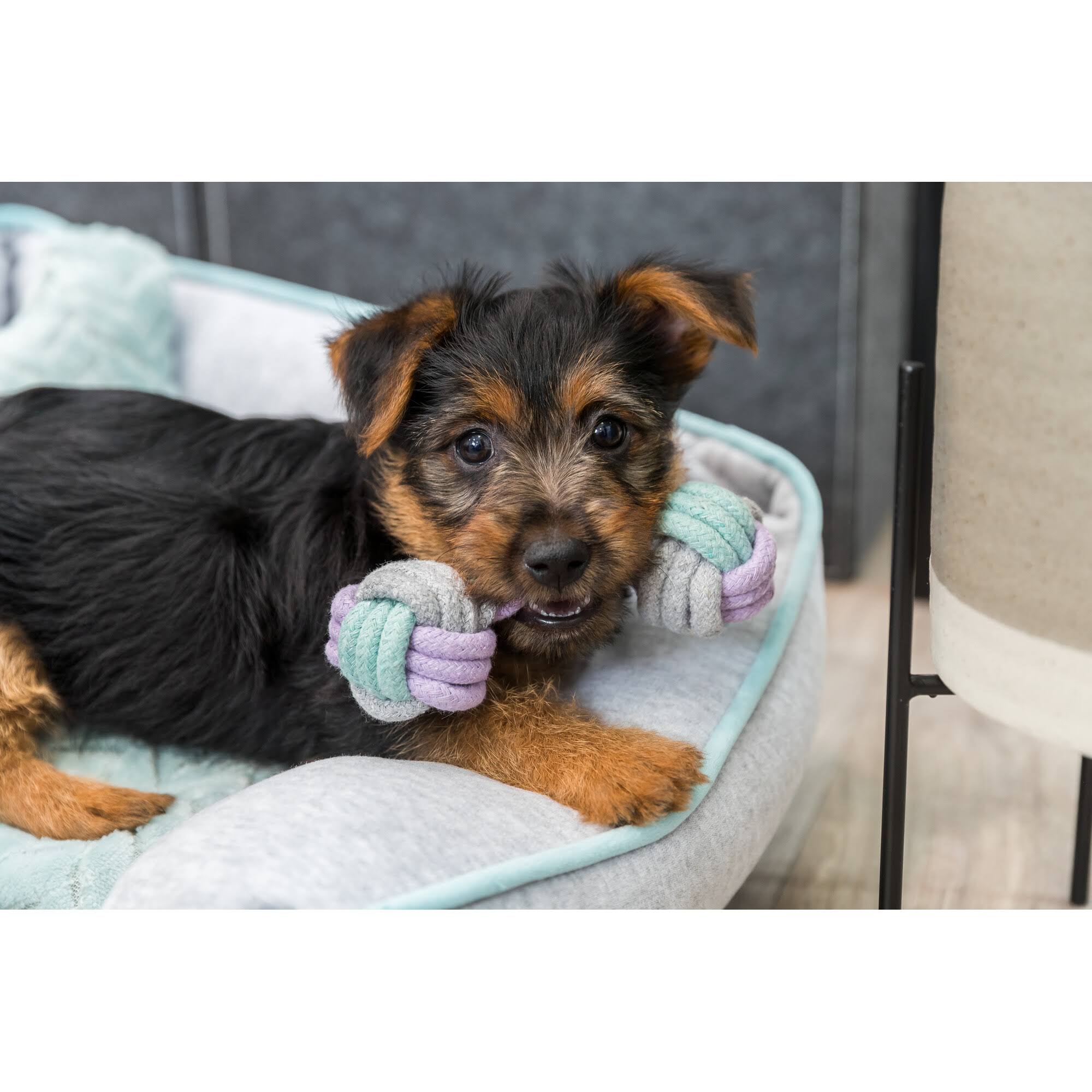 Trixie Rope Dumbbell 15 cm