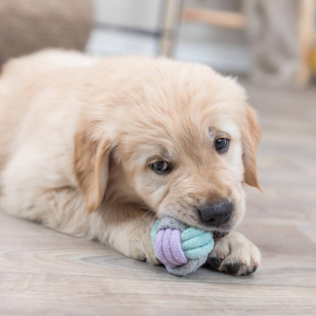 Trixie Rope Dumbbell 15 cm