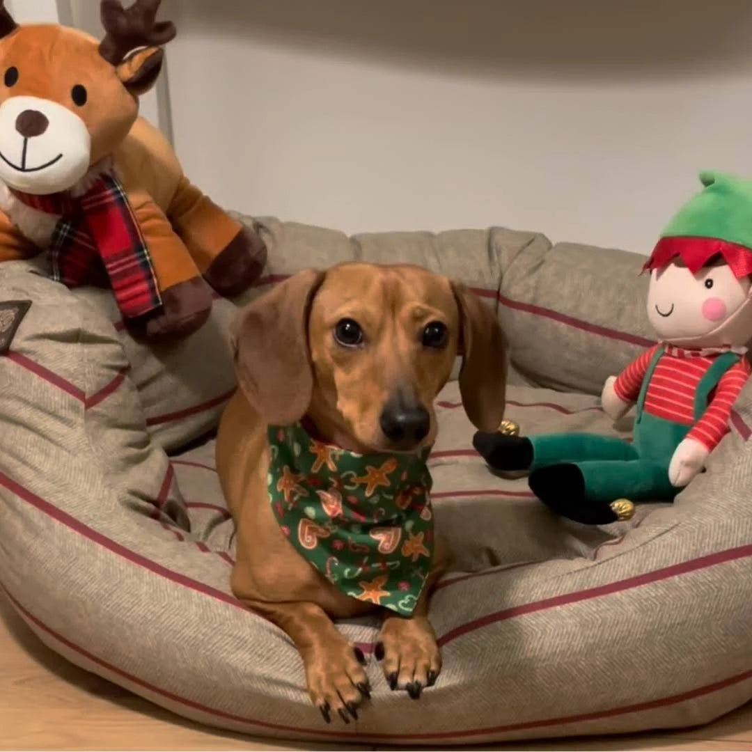 Danish Design - Heritage Herringbone Deluxe Slumber Bed 101cm