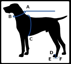 Trixie Comfort Soft Touring Harness (Ocean)