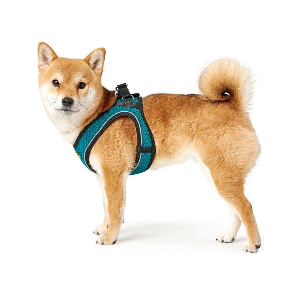 Hunter Hilo Comfort Harness - Size 3 - Turquoise
