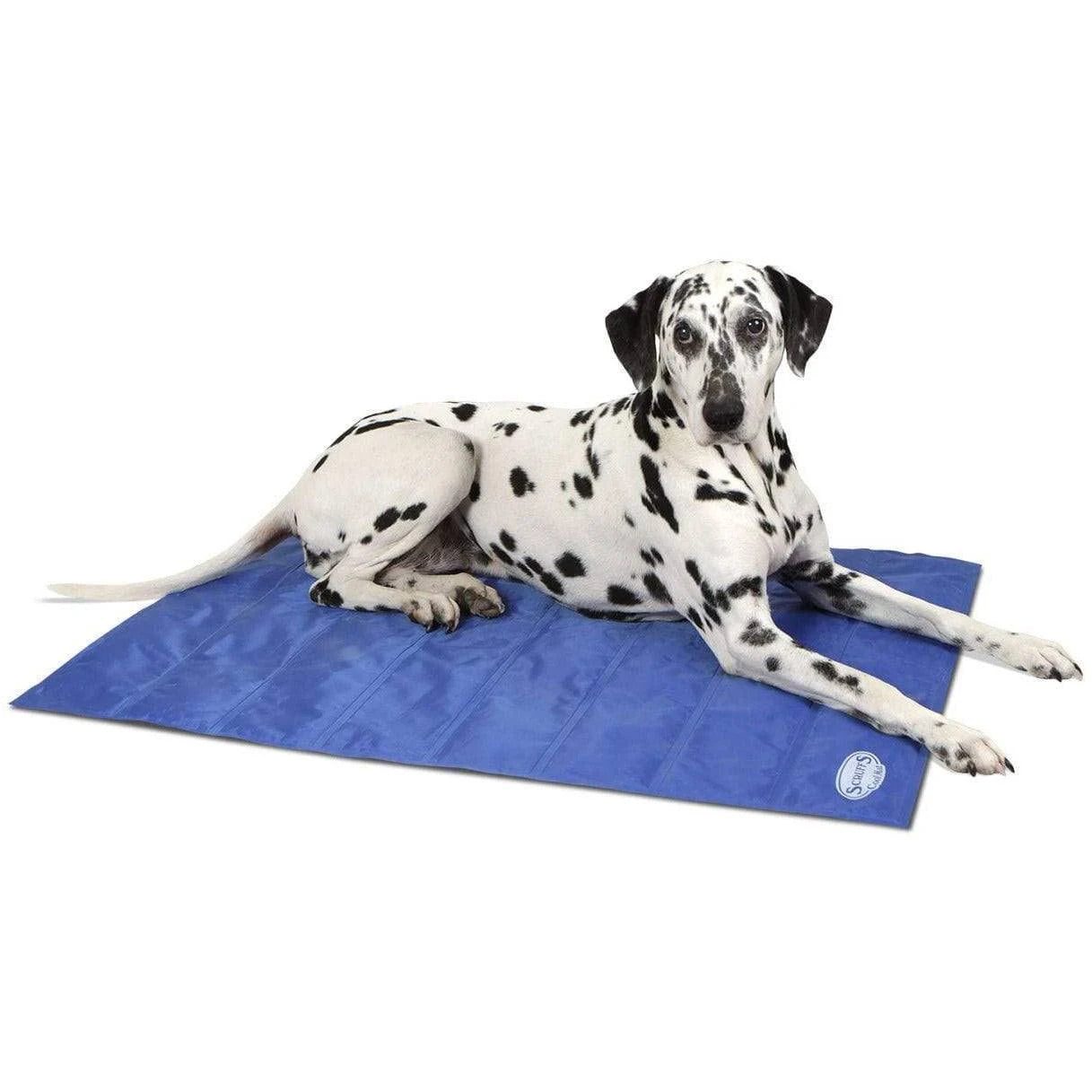 Scruffs Cool Mat - Medium