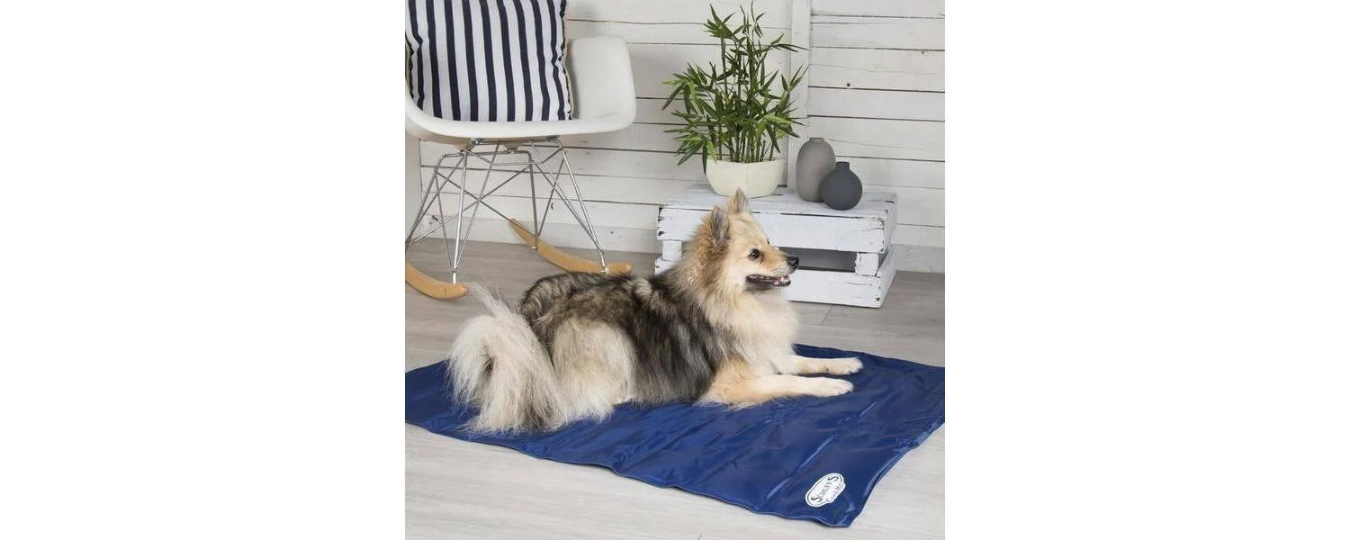 Scruffs Cool Mat - Medium
