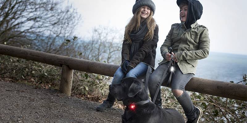 Orbiloc Twin Pack Horse - 2 Lights