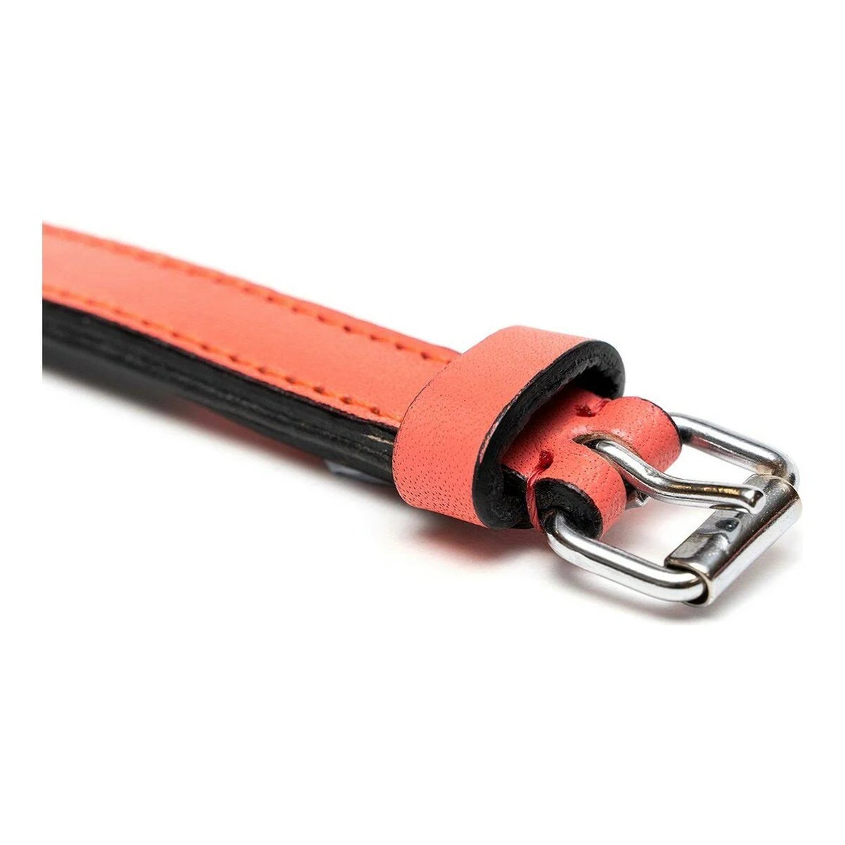 Gloria Padded Coral Dog Collar (40 x 2 cm)