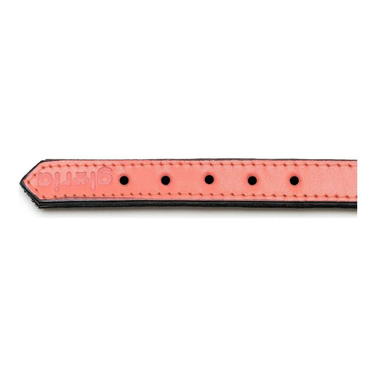 Gloria Padded Coral Dog Collar (40 x 2 cm)