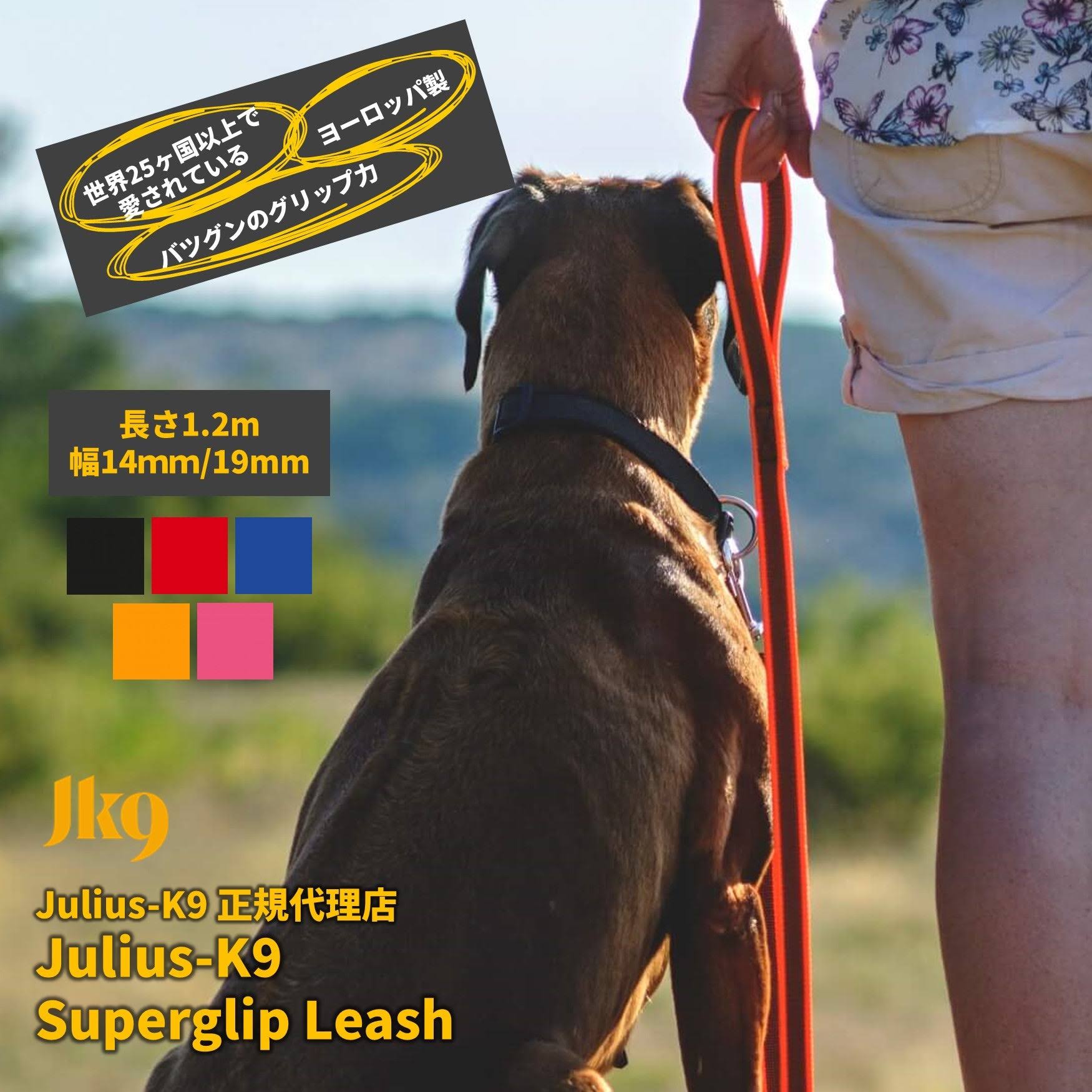 Julius-K9 Color & Gray Super Grip Leash Red