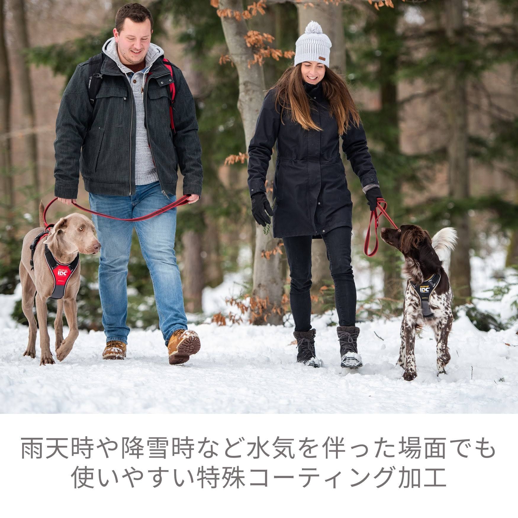 Julius-K9 Color & Gray Super Grip Leash Red