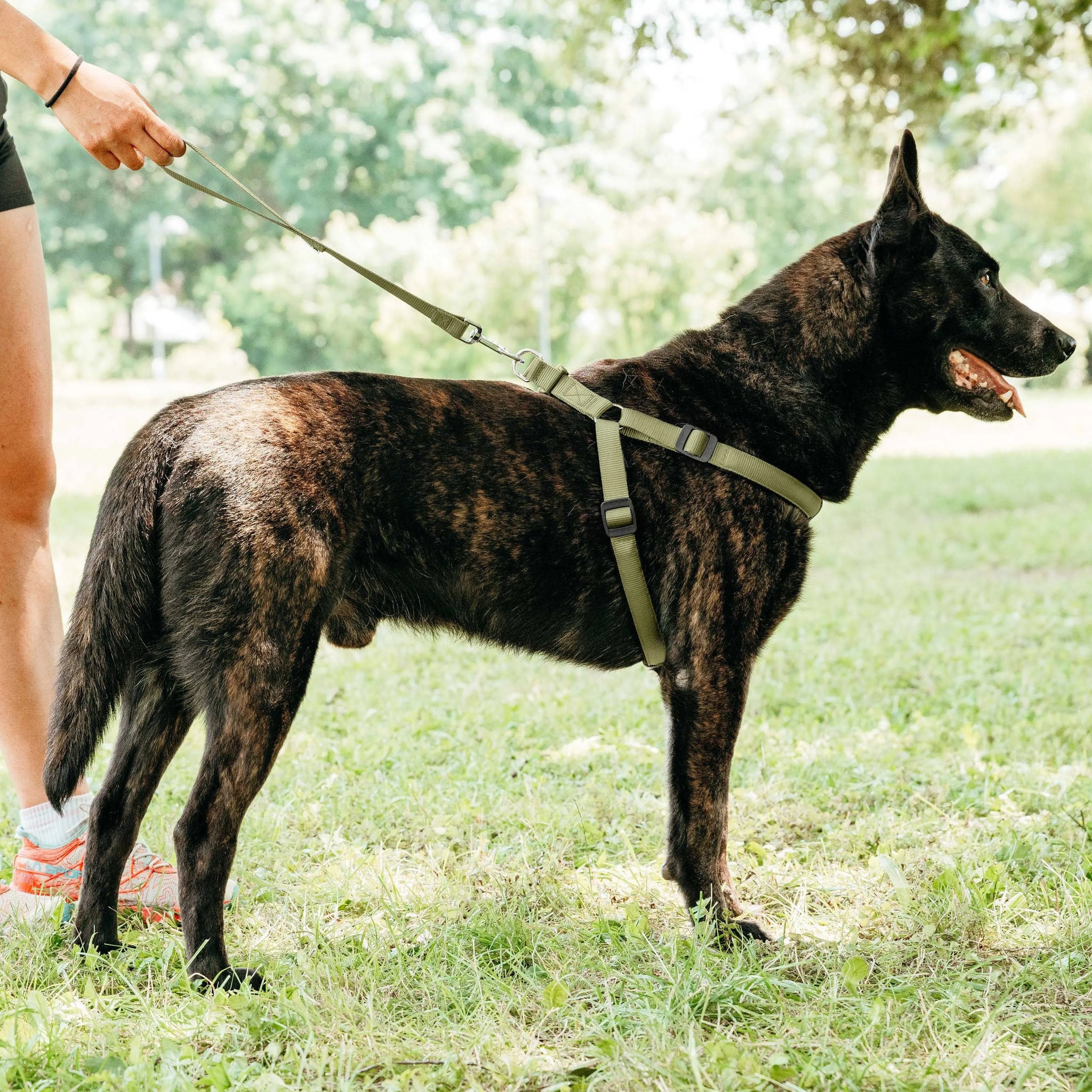 Ferplast Daytona P Dog Harness Brown M