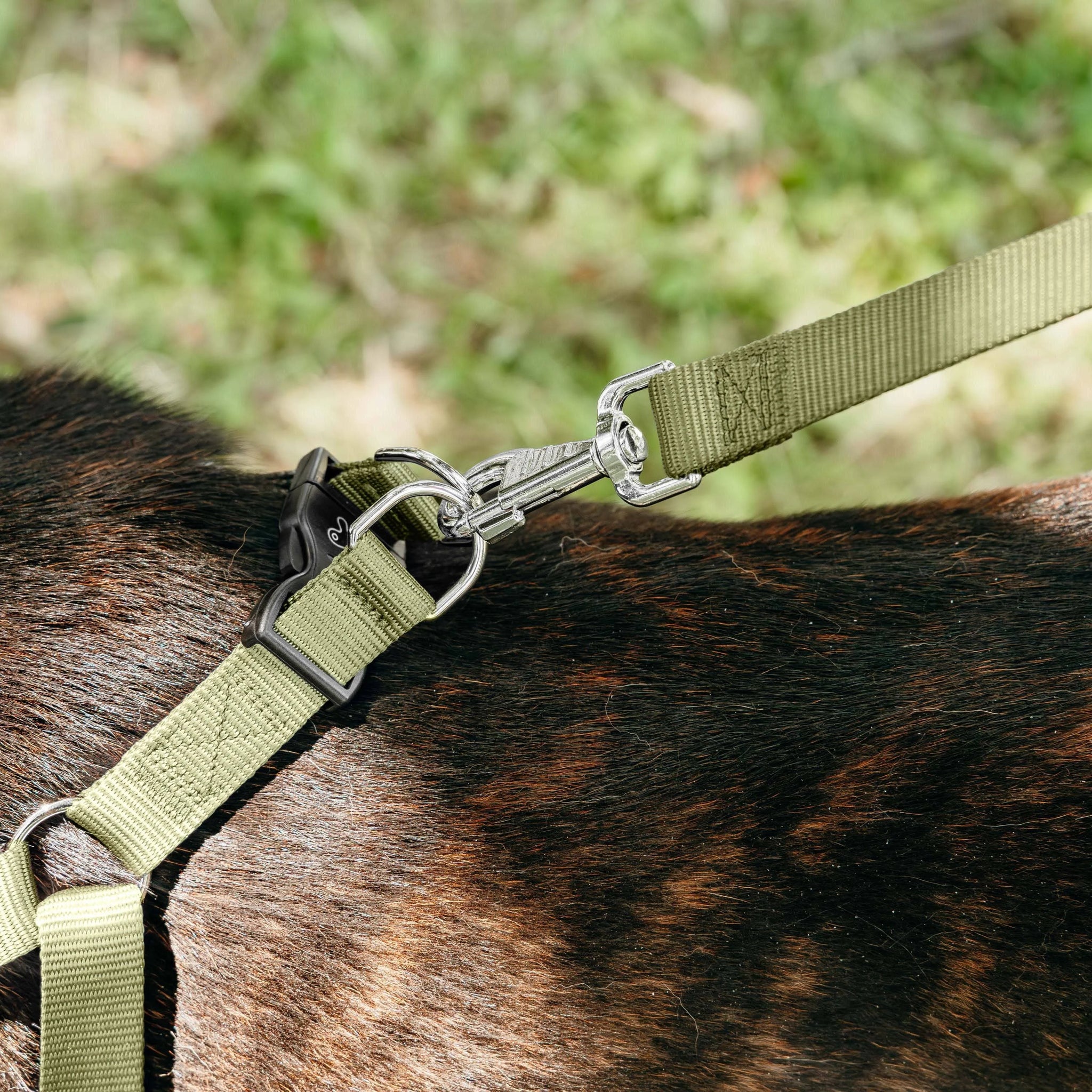 Ferplast Daytona P Dog Harness Brown M