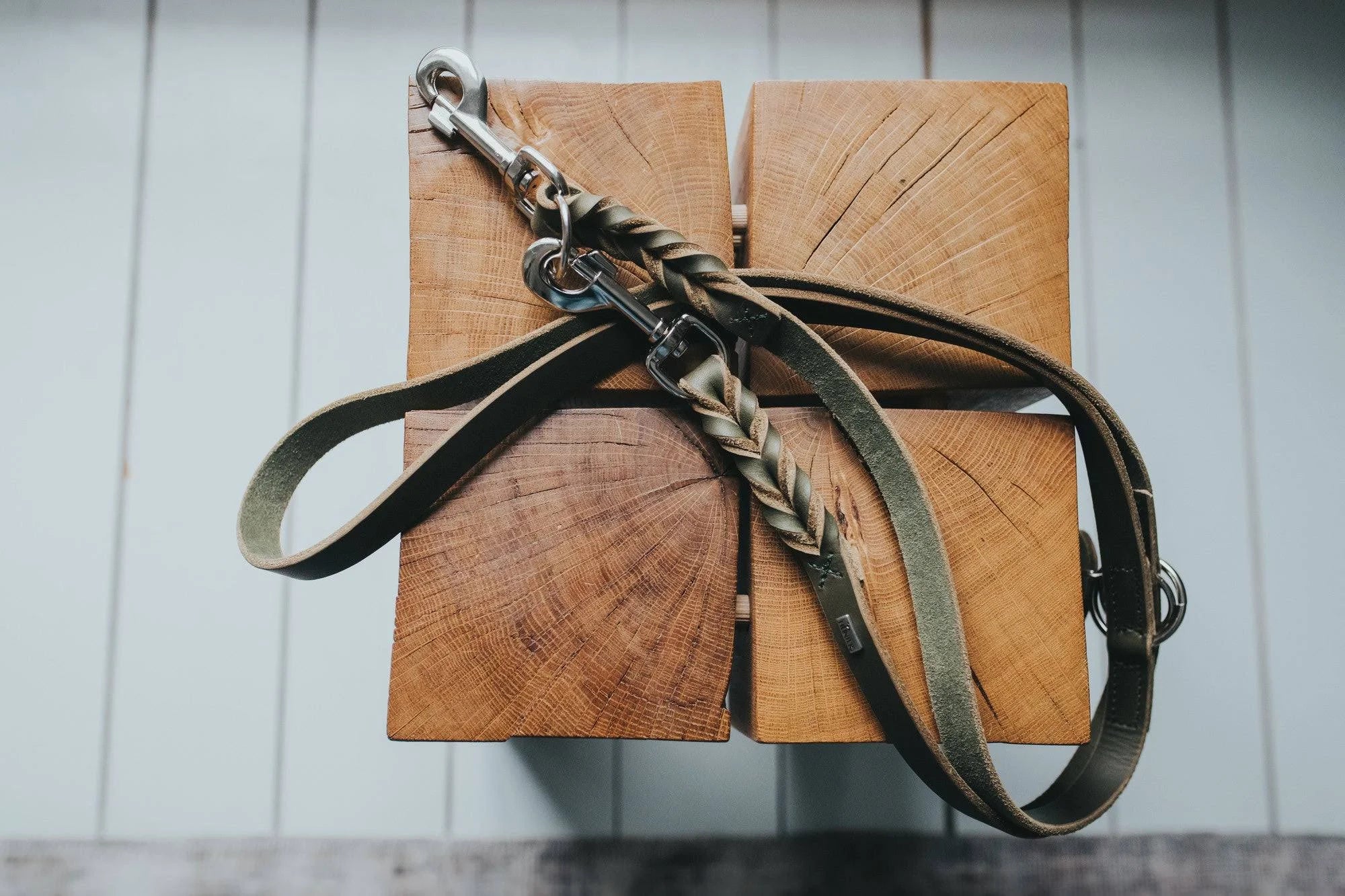 Dog Leash Hunter Solid Education