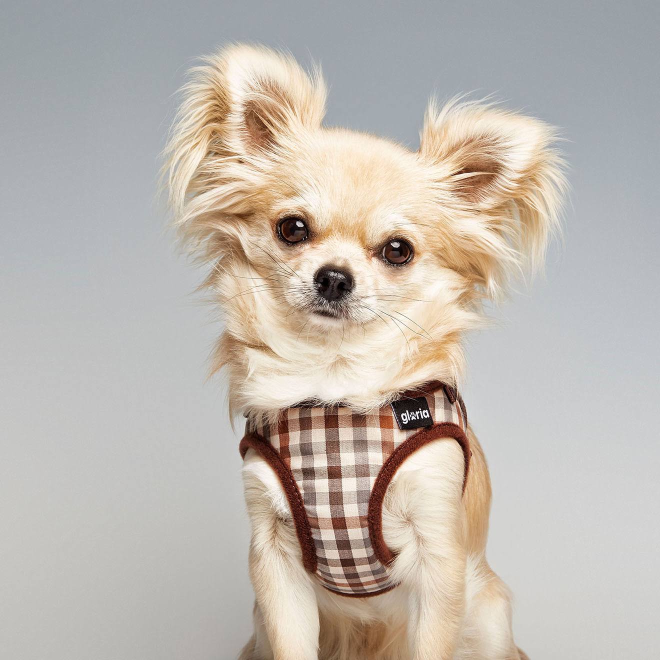 Gloria Checked Dog Harness Brown M