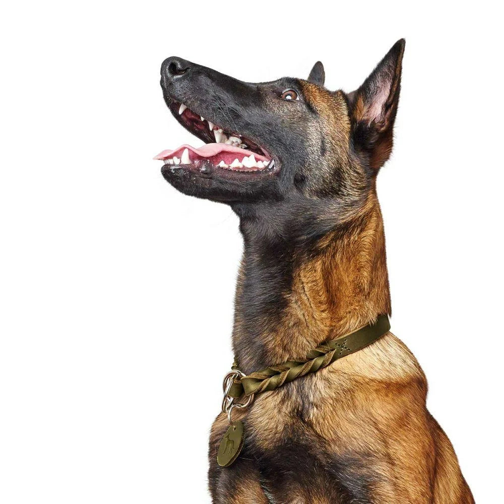 Hunter Solid Education Training Collar - Black