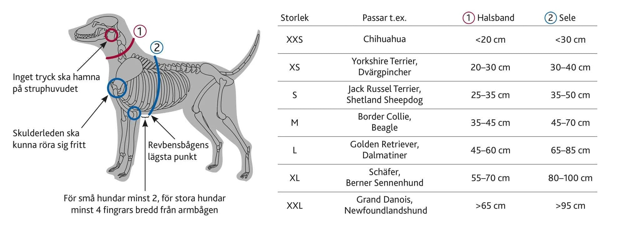 Trixie Premium Trekking Harness - Black/Graphite XL