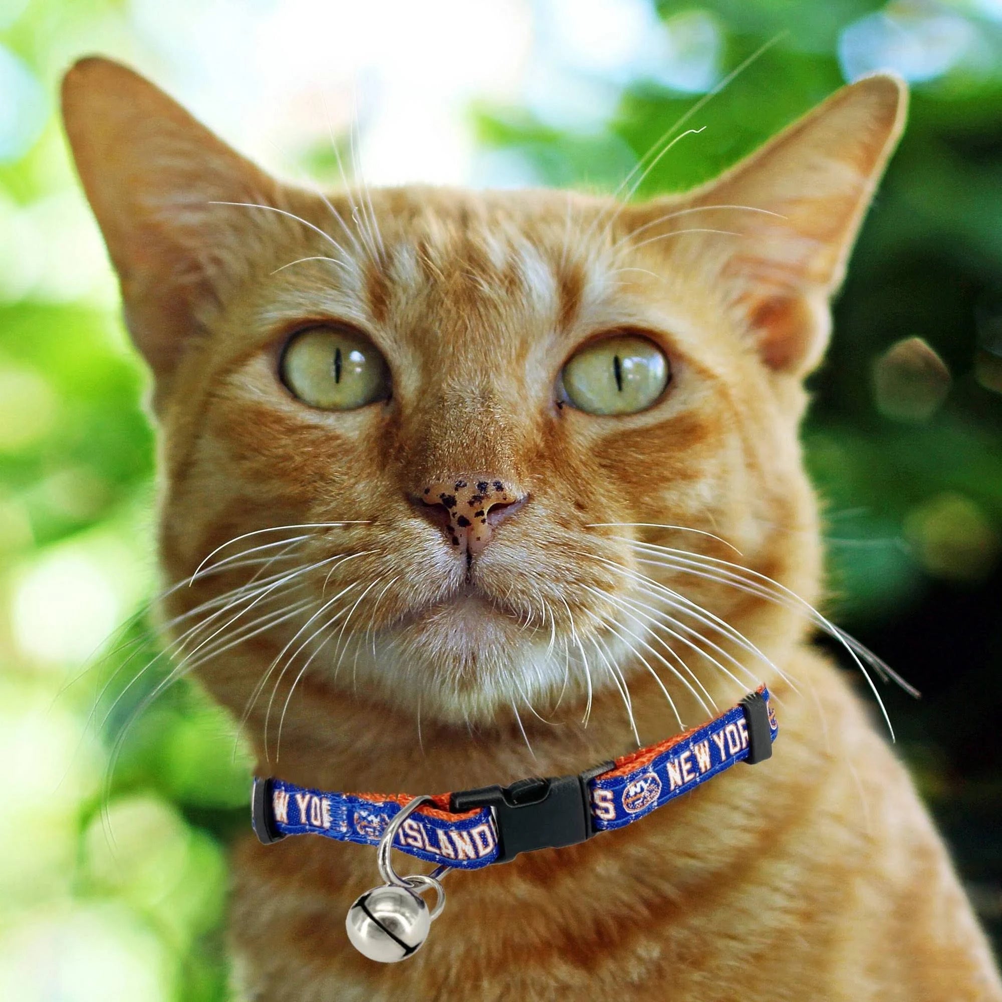 Pets First NHL New York Islanders Cat Collar Adjustable Break-Away Collar For ...
