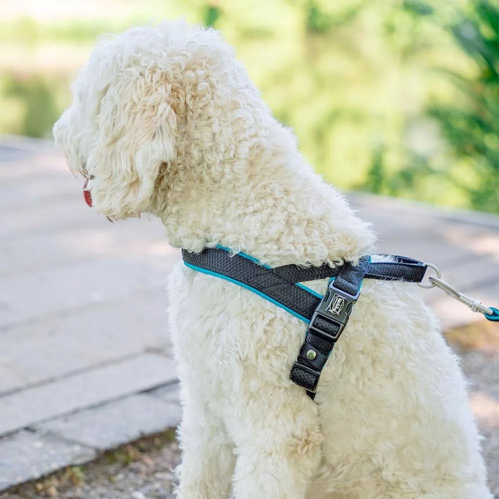 Norwegian Harness For Dogs Nobby Pet Mesh Preno