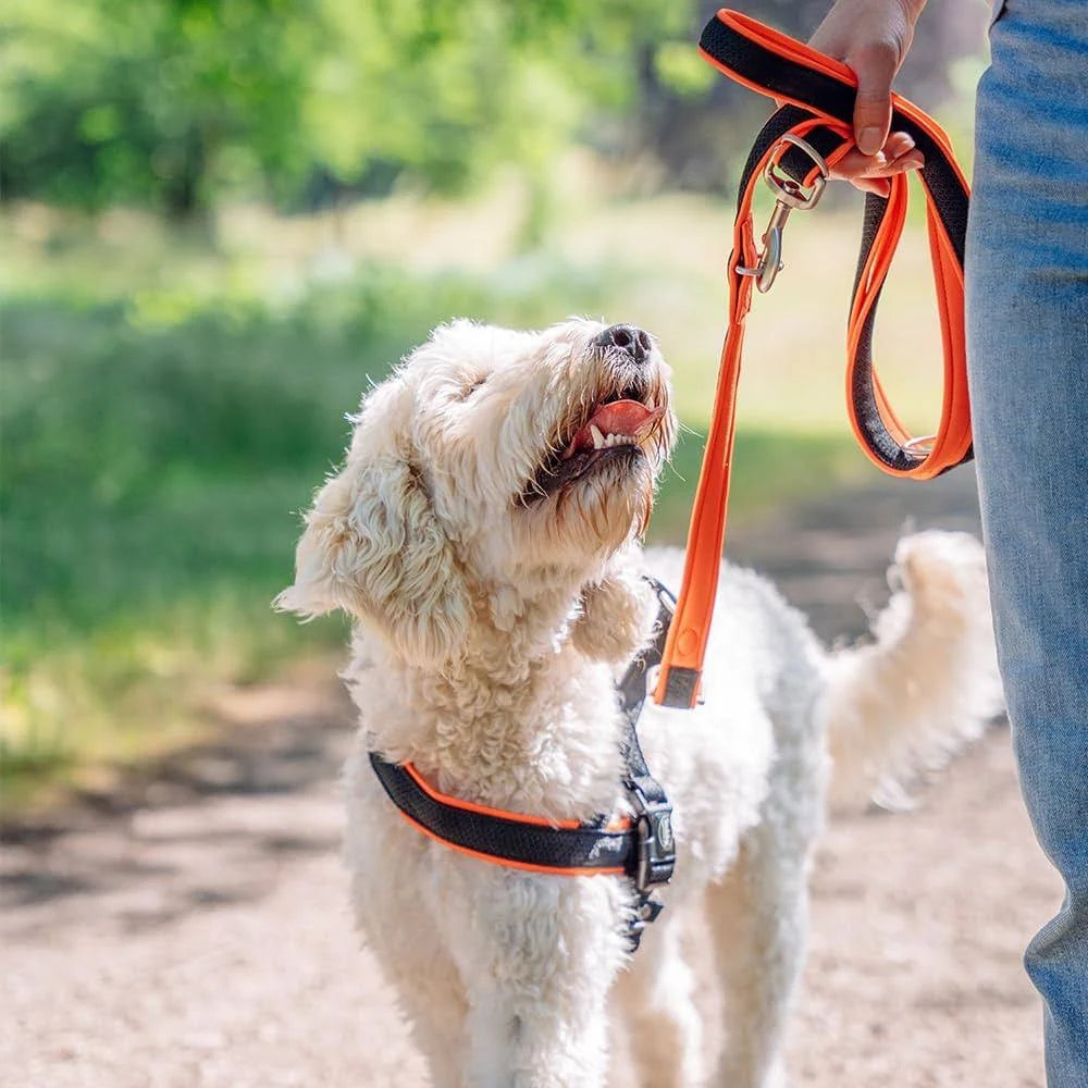 Norwegian Harness For Dogs Nobby Pet Mesh Preno